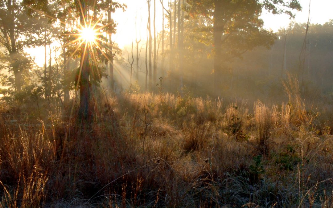 The Foolish Simplicity of God’s Grace