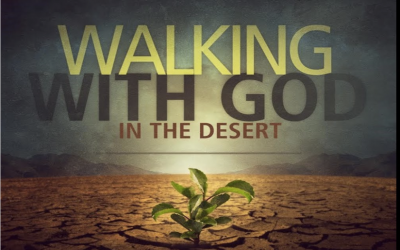 We Make the Road by Walking