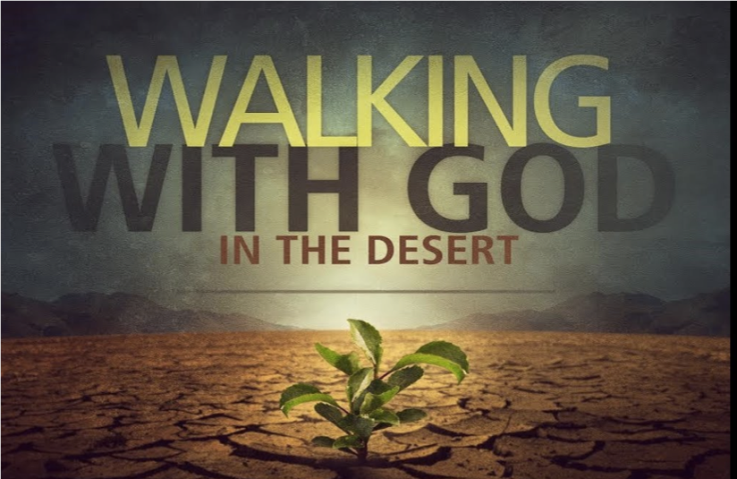 We Make the Road by Walking