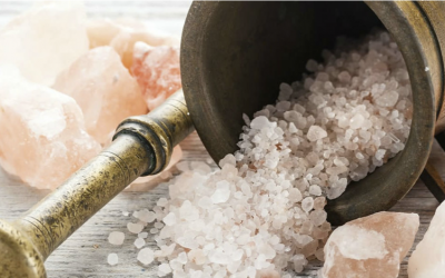 We Are Salt and Light