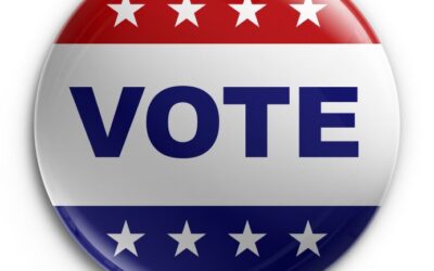 2020 Voter Information