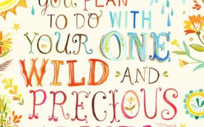 Wildness and Preciousness of every Moment