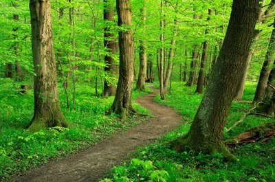 Walking this Path Together