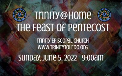 Worship This Sunday