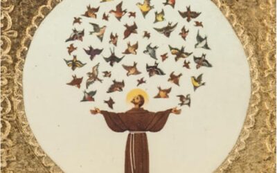 Feast Day of St. Francis of Assisi￼