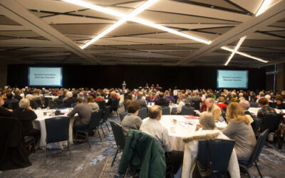 Reflections From Diocesan Convention
