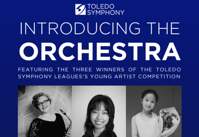 Introducing the Orchestra