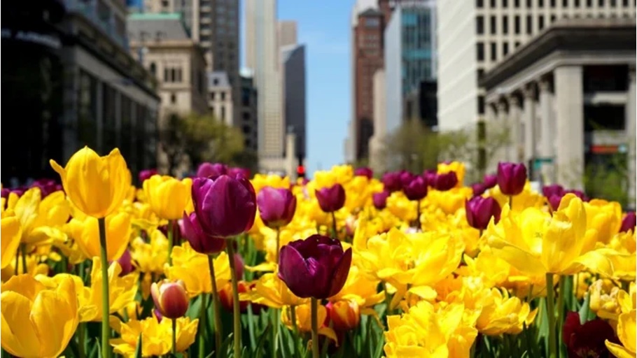 The promise of an eternal return to spring