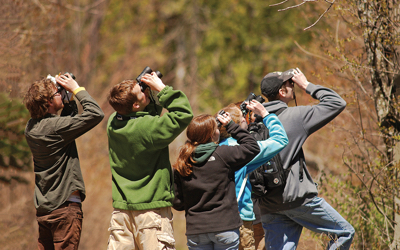 Let’s Go Birding Together! 