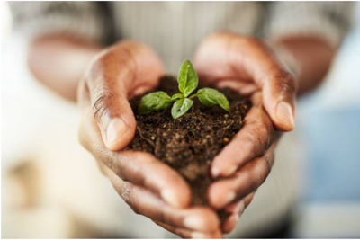 Good Soil
