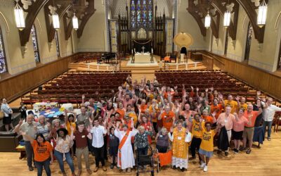Wear Orange this Sunday!