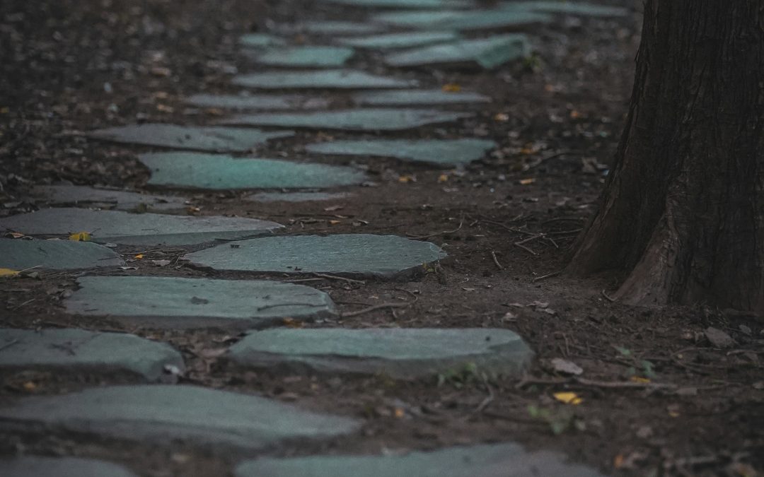 Invitation to a Holy Lent